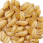 Mini popcorn machine 304 stainless steel grain amplifier