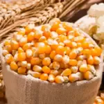 Mini popcorn machine 304 stainless steel grain amplifier