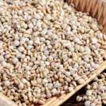 Mini popcorn machine 304 stainless steel grain amplifier