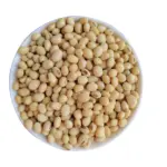 Mini popcorn machine 304 stainless steel grain amplifier